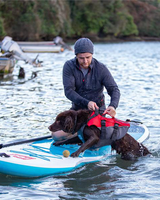 The Red Paddle Dog Buoyancy Aid (2021) in Red