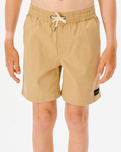 The Rip Curl Boys Boys Epic Volley Shorts in Khaki