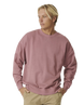 The Rip Curl Mens Original Surfers Sweatshirt in Mauve