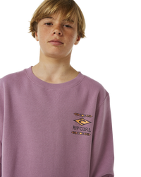 The Rip Curl Boys Boys Lost Island Sweatshirt in Dusty Purple