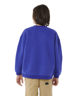 The Rip Curl Boys Boys Future Evolution Sweatshirt in Wild Berry