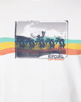 The Rip Curl Mens Striped T-Shirt in Bone