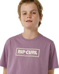 The Rip Curl Boys Boys Big Mumma Icon T-Shirt in Dusty Purple