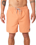 The Rip Curl Mens Easy Living Volley Shorts in Clay