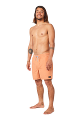 The Rip Curl Mens Easy Living Volley Shorts in Clay