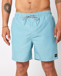 The Rip Curl Mens Easy Living Volley Shorts in Dusty Blue