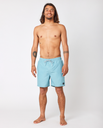 The Rip Curl Mens Easy Living Volley Shorts in Dusty Blue