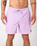 The Rip Curl Mens Daily Volley Shorts in Lilac