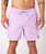 The Rip Curl Mens Daily Volley Shorts in Lilac