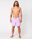 The Rip Curl Mens Daily Volley Shorts in Lilac