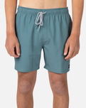 The Rip Curl Mens Daily Volley Shorts in Bluestone