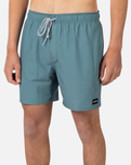 The Rip Curl Mens Daily Volley Shorts in Bluestone