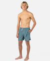 The Rip Curl Mens Daily Volley Shorts in Bluestone