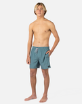 The Rip Curl Mens Daily Volley Shorts in Bluestone