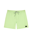 The Rip Curl Mens Daily Volley Shorts in Patina Green