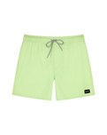 The Rip Curl Mens Daily Volley Shorts in Patina Green