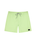 The Rip Curl Mens Daily Volley Shorts in Patina Green