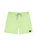 The Rip Curl Mens Daily Volley Shorts in Patina Green