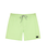 The Rip Curl Mens Daily Volley Shorts in Patina Green