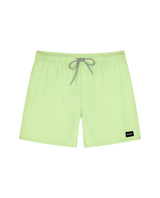 The Rip Curl Mens Daily Volley Shorts in Patina Green