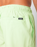 The Rip Curl Mens Daily Volley Shorts in Patina Green