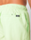 The Rip Curl Mens Daily Volley Shorts in Patina Green