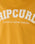 The Rip Curl Womens Seacell Crop Heritage T-Shirt in Gold