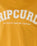 The Rip Curl Womens Seacell Crop Heritage T-Shirt in Gold