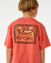 The Rip Curl Boys Boys Lost Islands Logo T-Shirt in Hot Coral