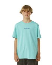 The Rip Curl Boys Boys Lost Island Art T-Shirt in Aqua