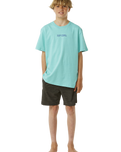 The Rip Curl Boys Boys Lost Island Art T-Shirt in Aqua