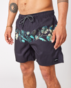 The Rip Curl Mens Framed Volley Shorts in Washed Black