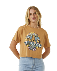 The Rip Curl Womens Block Party Crop T-Shirt in Light Brown