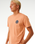 The Rip Curl Mens Wetsuit Icon T-Shirt in Clay