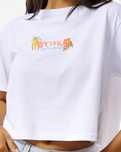 The Rip Curl Womens Island Crop T-Shirt in White