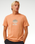 The Rip Curl Mens SWC Globe T-Shirt in Clay