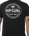 The Rip Curl Mens Staple T-Shirt in Black