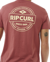 The Rip Curl Mens Staple T-Shirt in Apple Butter