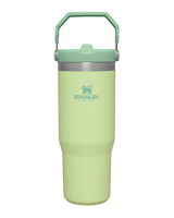 The Stanley Classic Iceflow Flip Straw Tumbler in Citron