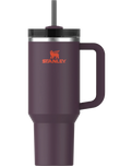 Quencher H2.0 Flowstate Tumbler in Plum