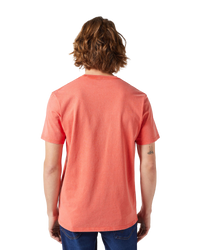 The Wrangler Mens Graphic T-Shirt in Burnt Sienna