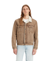 The Levi's® Mens Type III Sherpa Trucker Jacket in Breakfast Sandwich