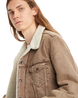 The Levi's® Mens Type III Sherpa Trucker Jacket in Breakfast Sandwich