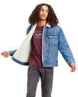 The Levi's® Mens The Sherpa Type III Trucker Jacket in Fable