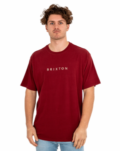 Alpha Line T-Shirt in Island Berry Garment Dye