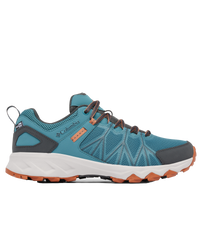 The Columbia Mens Peakfreak II Outdry Shoes in Cloudburst & Owl