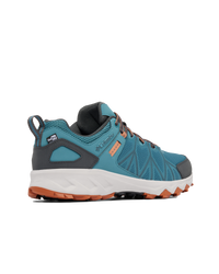 The Columbia Mens Peakfreak II Outdry Shoes in Cloudburst & Owl