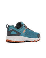 The Columbia Mens Peakfreak II Outdry Shoes in Cloudburst & Owl