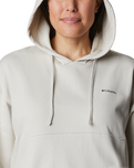 The Columbia Womens Break It Down Hoodie in Dark Stone