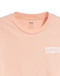 The Levi's® Mens Classic Graphic T-Shirt in Pale Peach